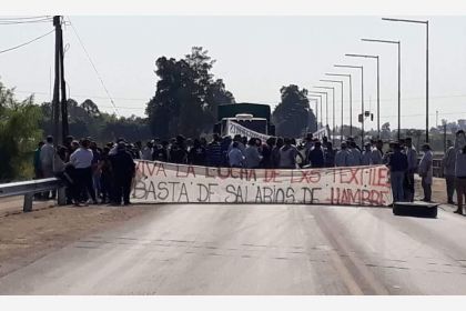 algodonera.jpg