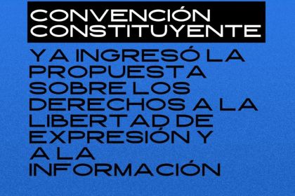constituyente-ingreso.jpg
